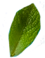 Palm leaf